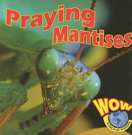 Praying Mantises (World of Wonder) pdf epub mobi 电子书 下载