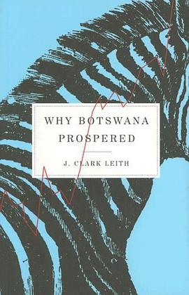 Why Botswana Prospered pdf epub mobi 下载