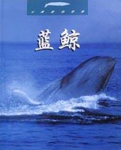 蓝鲸(未驯服的世界) pdf epub mobi 电子书 下载