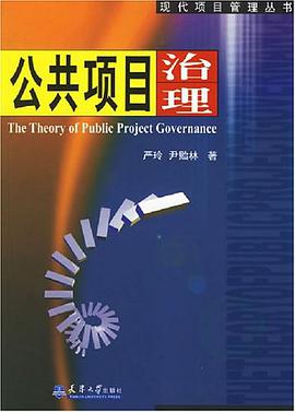 公共项目治理 pdf epub mobi 电子书 下载