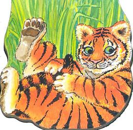Pocket Tiger pdf epub mobi 电子书 下载