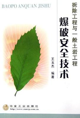 爆破安全技术 pdf epub mobi 电子书 下载