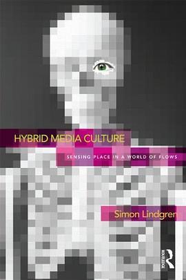 Hybrid Media Culture pdf epub mobi 电子书 下载