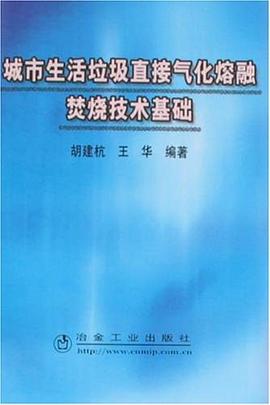 城市生活垃圾直接气化熔融焚烧技术基础 pdf epub mobi 电子书 下载