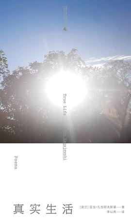 真實生活 pdf epub mobi 電子書 下載