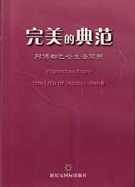 完美的典範 pdf epub mobi 電子書 下載