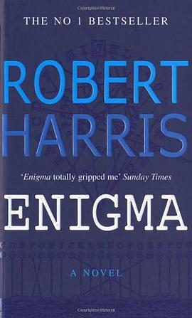 Enigma pdf epub mobi 电子书 下载