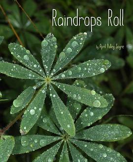 Raindrops Roll pdf epub mobi 电子书 下载