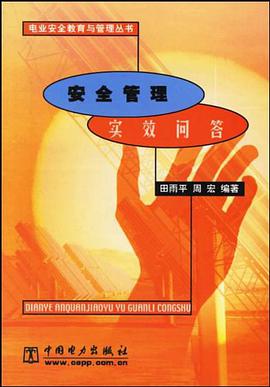 安全管理实效问答 pdf epub mobi 下载