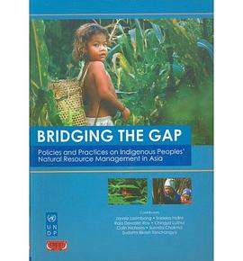 Bridging the Gap pdf epub mobi 電子書 下載