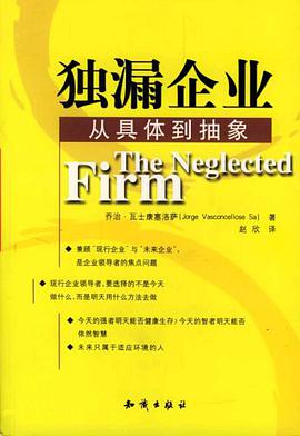 独漏企业 pdf epub mobi 电子书 下载