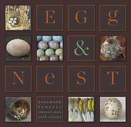 Egg & Nest pdf epub mobi 电子书 下载