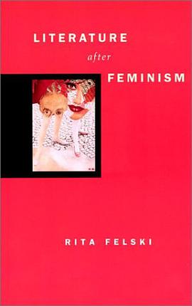 Literature after Feminism pdf epub mobi 电子书 下载