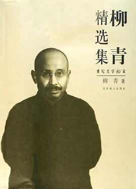 柳青精选集