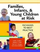 Families, Infants and Young Children at Risk pdf epub mobi 电子书 下载