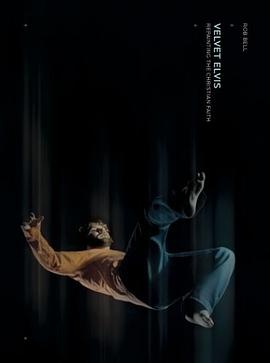 Velvet Elvis pdf epub mobi 电子书 下载