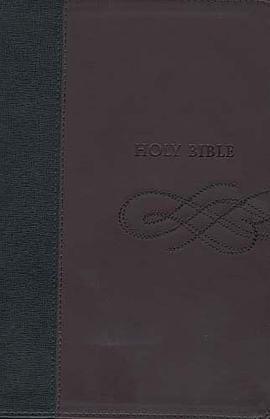 Study Bible-KJV pdf epub mobi 电子书 下载