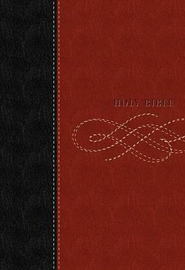 Study Bible-KJV pdf epub mobi 电子书 下载