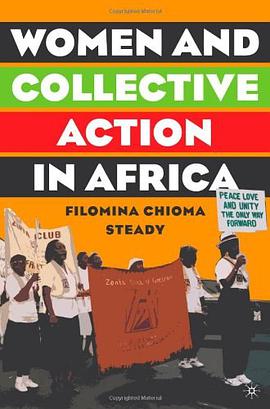 Women and Collective Action in Africa pdf epub mobi 电子书 下载