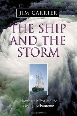 Ship and the Storm pdf epub mobi 电子书 下载