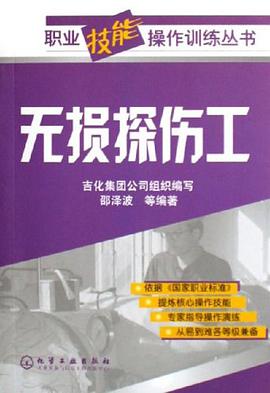 无损探伤工 pdf epub mobi 电子书 下载