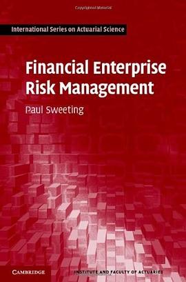 Financial Enterprise Risk Management pdf epub mobi 電子書 下載