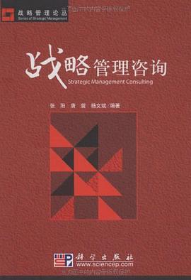 战略管理咨询 pdf epub mobi 电子书 下载
