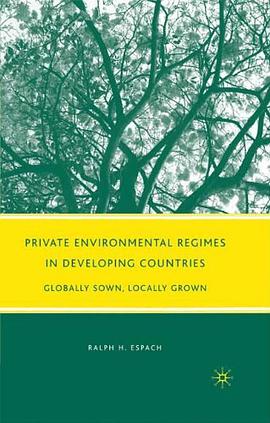Private Environmental Regimes in Developing Countries pdf epub mobi 电子书 下载