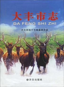 大丰市志 pdf epub mobi 电子书 下载
