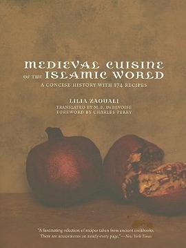 Medieval Cuisine of the Islamic World pdf epub mobi 电子书 下载