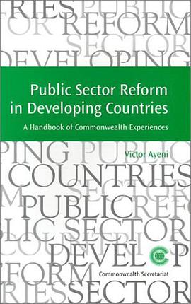 Public Sector Reform in Developing Countries pdf epub mobi 电子书 下载