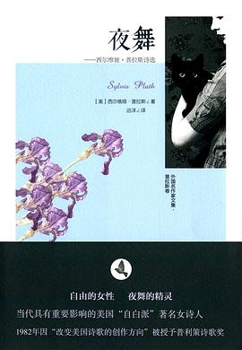 夜舞 pdf epub mobi 电子书 下载