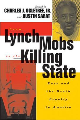 From Lynch Mobs to the Killing State pdf epub mobi 电子书 下载