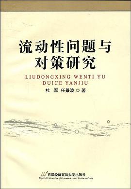 流动性问题与对策研究 pdf epub mobi 电子书 下载
