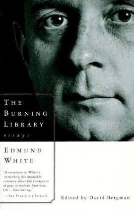 The Burning Library pdf epub mobi 电子书 下载
