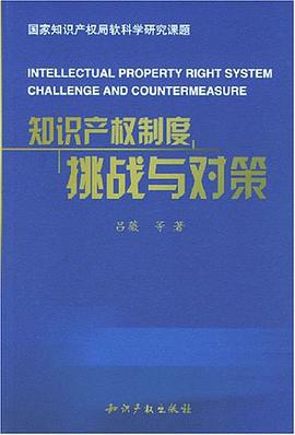 知識産權製度挑戰與對策 pdf epub mobi 電子書 下載