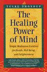 The Healing Power of the Mind pdf epub mobi 電子書 下載
