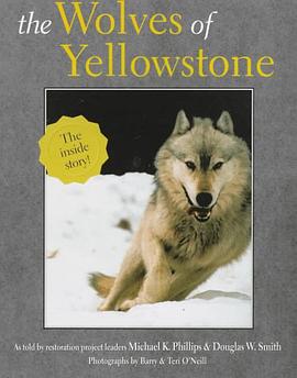 The Wolves of Yellowstone (Wildlife)