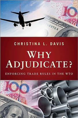 Why Adjudicate? pdf epub mobi 电子书 下载