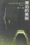 漂泊的美丽 pdf epub mobi 电子书 下载
