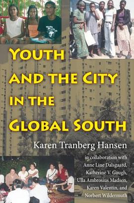 Youth and the City in the Global South pdf epub mobi 電子書 下載