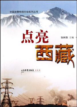 点亮西藏 pdf epub mobi 电子书 下载