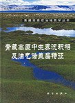 青藏高原中生界沉积相及油气储盖层特征 pdf epub mobi 电子书 下载