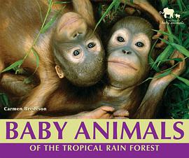 Baby Animals of the Tropical Rain Forest pdf epub mobi 电子书 下载