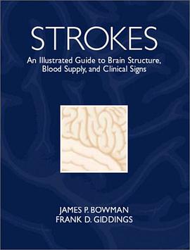 Strokes pdf epub mobi 电子书 下载