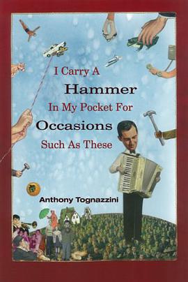 I Carry a Hammer in My Pocket for Occasions Such as These pdf epub mobi 电子书 下载