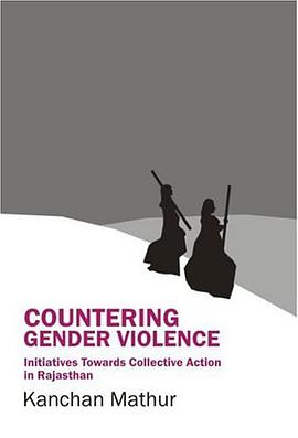 Countering Gender Violence pdf epub mobi 电子书 下载