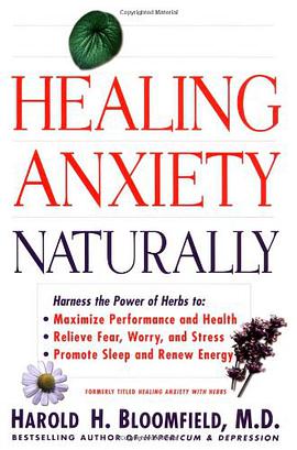 Healing Anxiety Naturally pdf epub mobi 电子书 下载