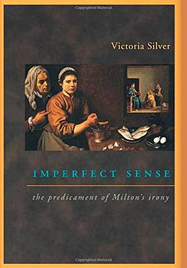 Imperfect Sense pdf epub mobi 电子书 下载