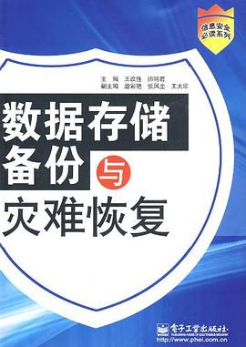 数据存储备份与灾难恢复 pdf epub mobi 电子书 下载